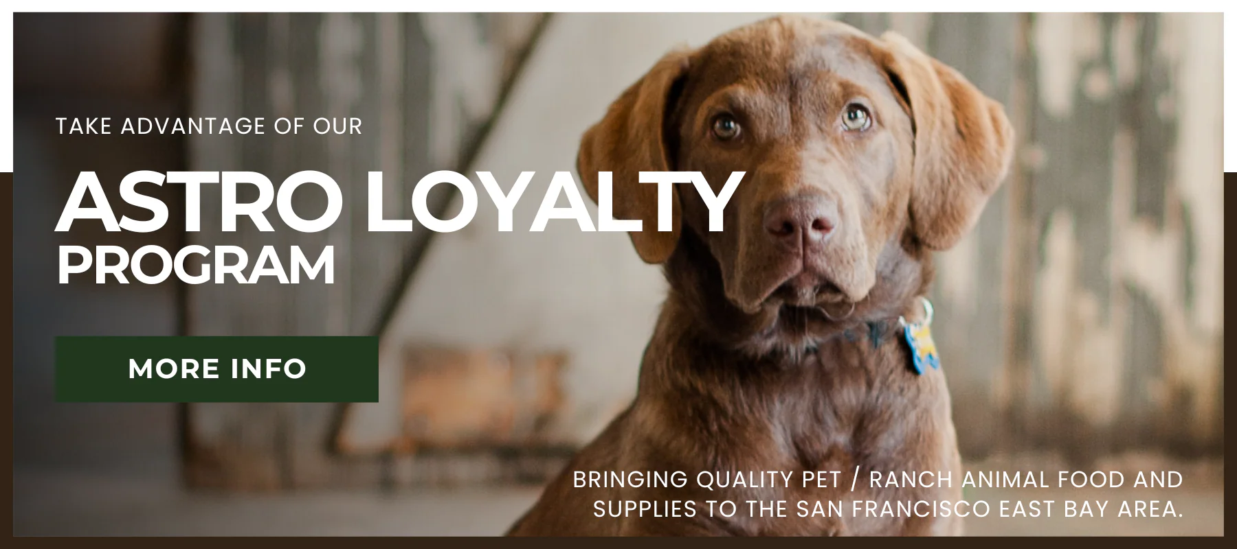 Your Farm and Pet Sanctuary